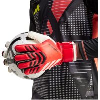adidas Predator Match Torwarthandschuhe