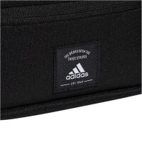 adidas TERREX NClassic WNLB Gürteltasche IA5276 - black