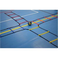 Powershot Kombinierbare Koordinationsleiter 4 x 2 m