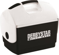 DERBYSTAR Kühlbox weiß/schwarz 10 Liter