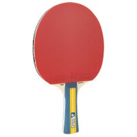 JOOLA Team Master Tischtennisschläger