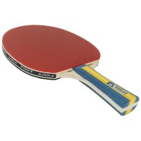 JOOLA Team Master Tischtennisschläger