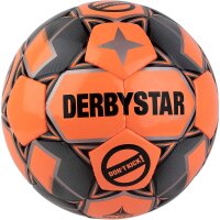 DERBYSTAR Keeper Gewichts-Fußball (1 kg) für...