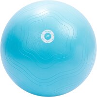 Pure2Improve Yogaball