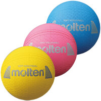 molten Softball Volleyball