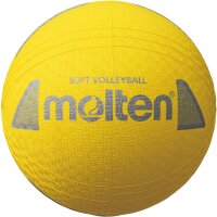 molten Softball Volleyball