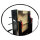 carromco Kickertisch Rialto-XT
