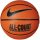 NIKE Everyday All Court 8P Indoor/Outdoor Basketball