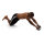 TRENDY SPORT Ab Wheel Roller Bariga