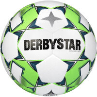 10er Ballpaket DERBYSTAR Brillant APS Fußball...