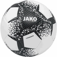 10er Ballpaket JAKO Performance Fußball...