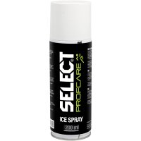 Select Eisspray