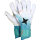 DERBYSTAR APS Pro Grip Aqua Torwarthandschuhe