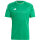 IB4923 - team green